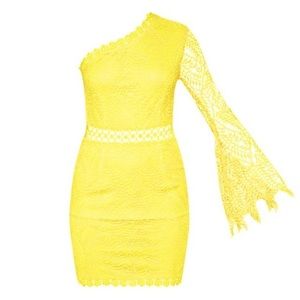 🆕NWT Pretty Little Thing lace bodycon dress